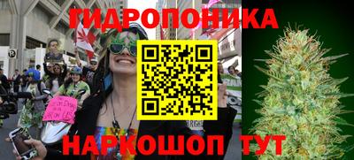дурь Лесосибирск