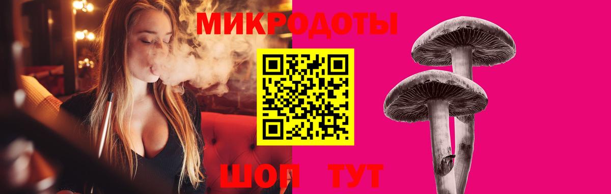 Долгопрудный  Псилоцибиновые грибы MAGIC MUSHROOMS  Вход с VPN  Галлюциногенные грибы GOLDEN TEACHER 